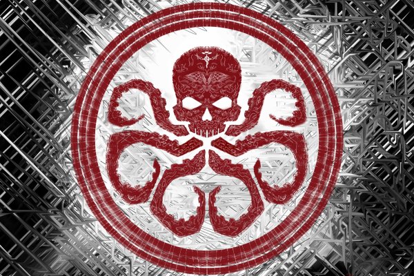 Kraken biz