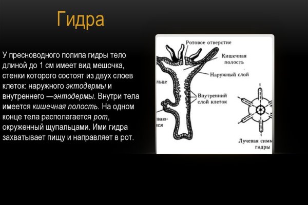 Почему не работает кракен