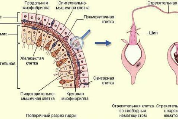 Кракен даркнет сайт ссылка