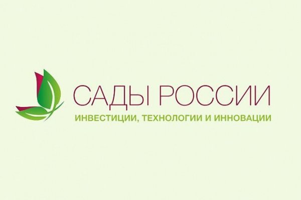 Кракен онион сайт io
